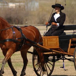 Meet your Posher, Donna